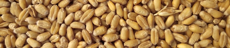 Food Production Facility